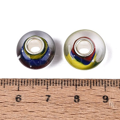 Handmade Lampwork & Brass Core European Beads LAMP-N044-08S-01-1