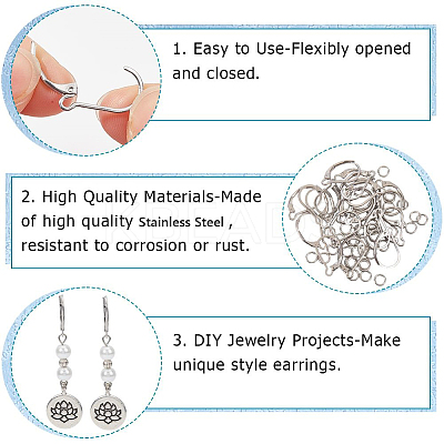 80Pcs 304 Stainless Steel Leverback Earring Findings STAS-SP0001-18P-1
