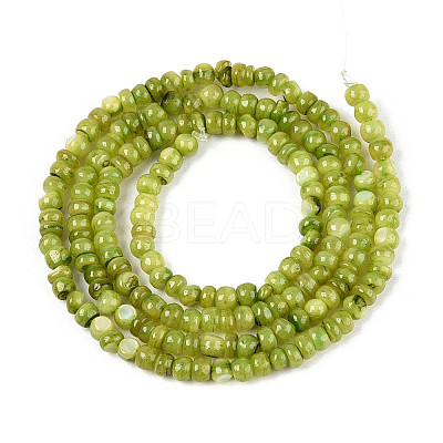 Natural Freshwater Shell Dyed Beads Strands SHEL-T020-29B-04-1
