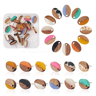 12Pairs 12 Colors Opaque Resin & Walnut Wood Stud Earring Findings MAK-CD0001-05-1
