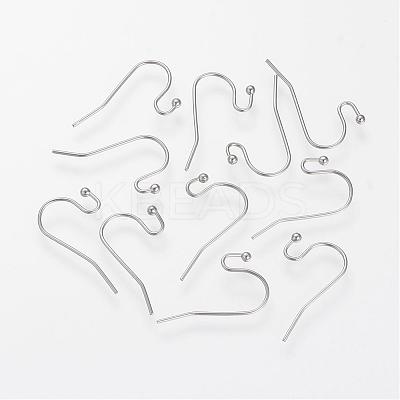 Tarnish Resistant 304 Stainless Steel Earring Hooks STAS-S066-09-1