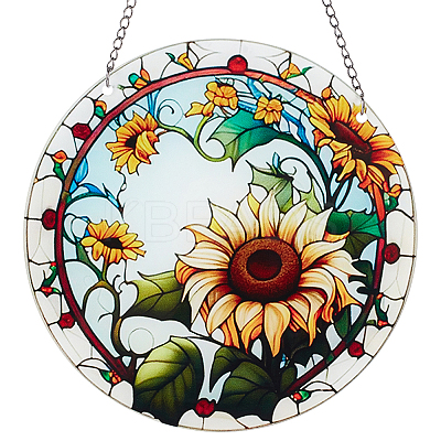 Acrylic Hanging Ornaments Sets FIND-WH20019-19E-1