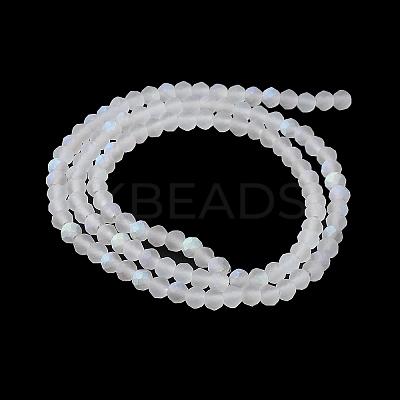 Transparent Glass Beads Strands X-EGLA-A044-T8mm-MB19-1