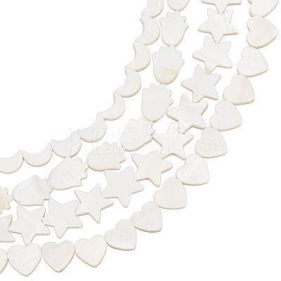 4 Strands 4 Styles Natural Freshwater Shell Beads Strands SHEL-BC0001-032-1