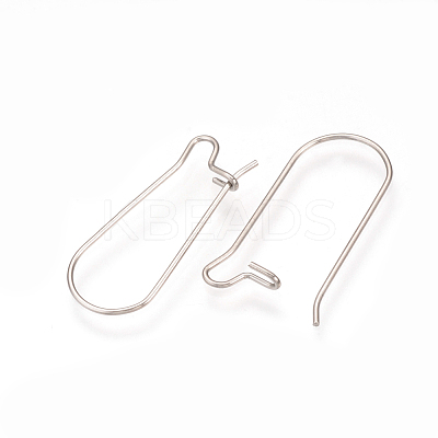 Tarnish Resistant 304 Stainless Steel Hoop Earrings Findings STAS-Q223-11D-1