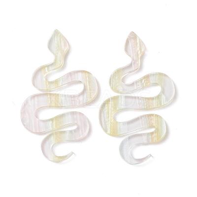 Acrylic Big Pendants KY-I008-07D-1
