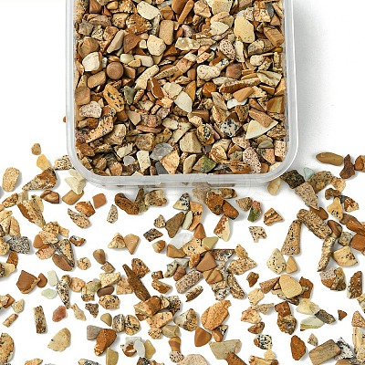 50G Natural Picture Jasper Chips G-YW0001-73-1