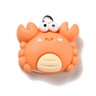 Opaque Resin Pendants RESI-G043-E04-B-1