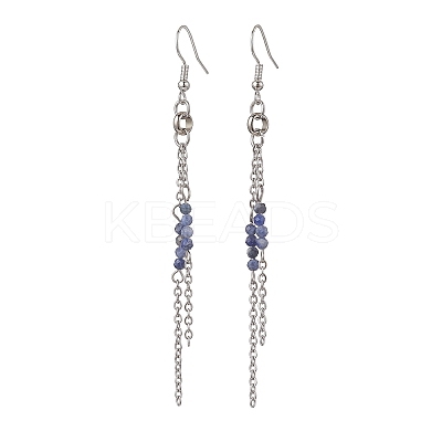 Round 304 Stainless Steel Natural Sodalite Dangle Earrings EJEW-JE06783-02-1