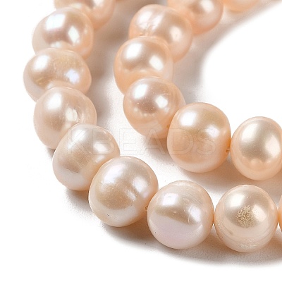 Natural Cultured Freshwater Pearl Beads Strands PEAR-E018-23-1