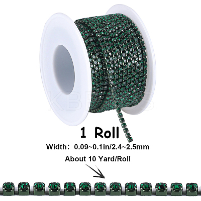 1 Roll Electrophoresis Iron Rhinestone Strass Chains CHC-GF0001-06E-1