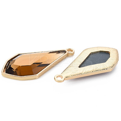 Faceted Glass Pendants PALLOY-N167-10-01LG-RS-1
