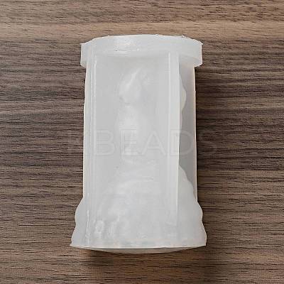 DIY 3D Goddess Girl with Animal Figurine Statue Silicone Molds DIY-G081-01D-1