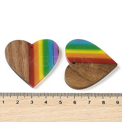 Pride Rainbow Theme Resin & Walnut Wood Pendants X-WOOD-K012-03-1