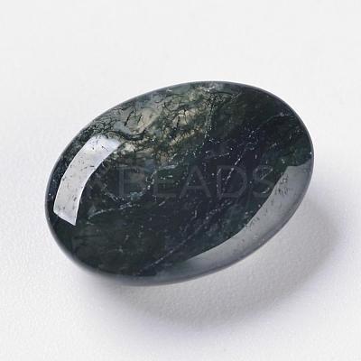 Natural Indian Agate G-F296-09-10x14mm-1