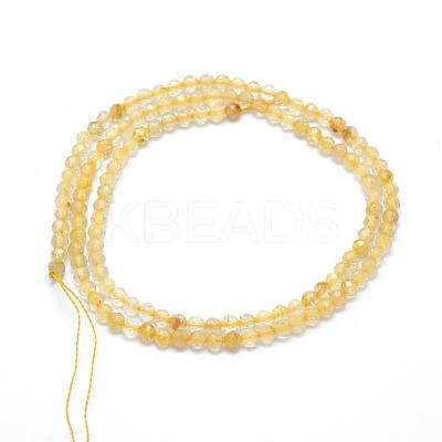 Natural Gold Rutilated Quartz Beads Strands G-E411-17-3mm-1