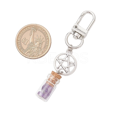 7 Chakra Natural Lapis Lazuli & Amazonite & Amethyst & Citrine & Green Aventurine & Rose Quartz & Red Aventurine Chips inside Glass Wishing Bottles Pendant Decorations HJEW-JM03152-1