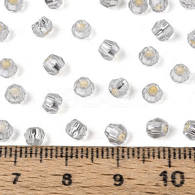Silver Lined Glass Seed Beads SEED-T007-18A-02-1