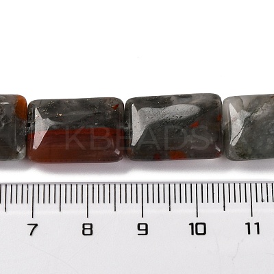 Natural African Bloodstone Beads Strands G-T047-B06-01-1