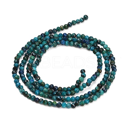 Natural Chrysocolla Beads Strands GG-CBA77FB-B12-2mm-1