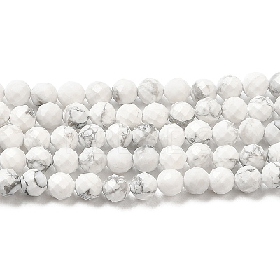 Natural Howlite Beads Strands G-E608-A01-C-1