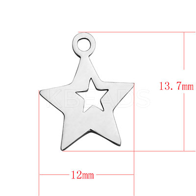 Tarnish Resistant 304 Stainless Steel Charms STAS-Q201-T150-1
