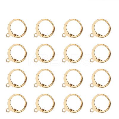 304 Stainless Steel Leverback Earring Findings STAS-G081-62G-1