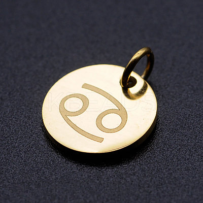 201 Stainless Steel Charms STAS-T049-T644-4G-1