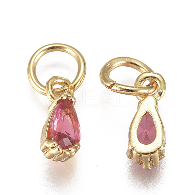 Brass Micro Pave Cubic Zirconia Charms ZIRC-F111-04G-02-1