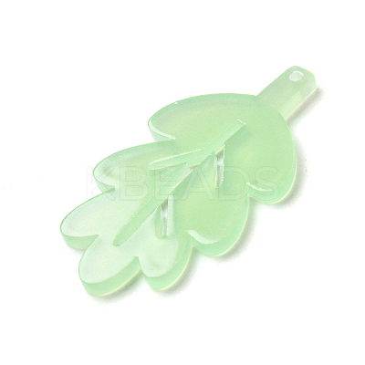 Opaque Acrylic Pendants LS-OACR-H047-02A-02-1