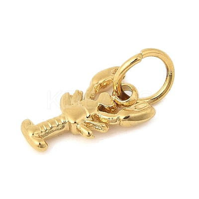 304 Stainless Steel Charms LS-STAS-V013-02A-G-1