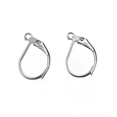 Tarnish Resistant 304 Stainless Steel Leverback Earring Findings LS-STAS-E147-20P-1