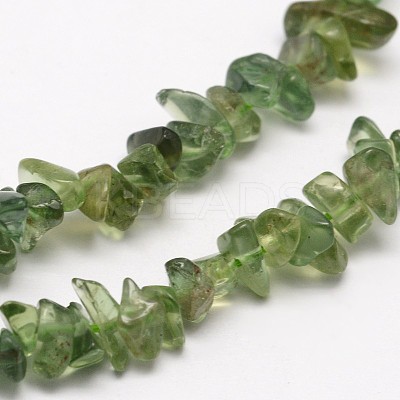 Chips Natural Green Apatite Beads Strands X-G-N0164-26-1
