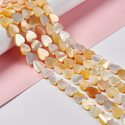 Natural Yellow Shell Beads Strands SHEL-F003-01B-1