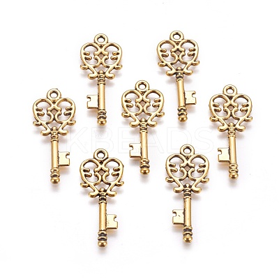 Tibetan Style Alloy Pendants GLF11137Y-1