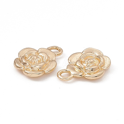 Rack Plating Brass Pendants KK-G455-16G-1