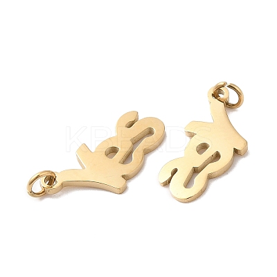 Ion Plating(IP) 304 Stainless Steel Charms STAS-Q215-16G-1