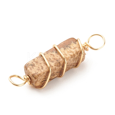 Natural Picture Jasper Connector Charms PALLOY-JF01580-04-1