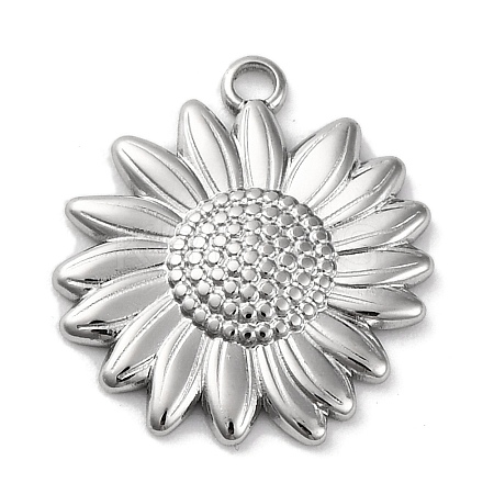 Anti-Tarnish 304 Stainless Steel Pendants STAS-K293-06P-1
