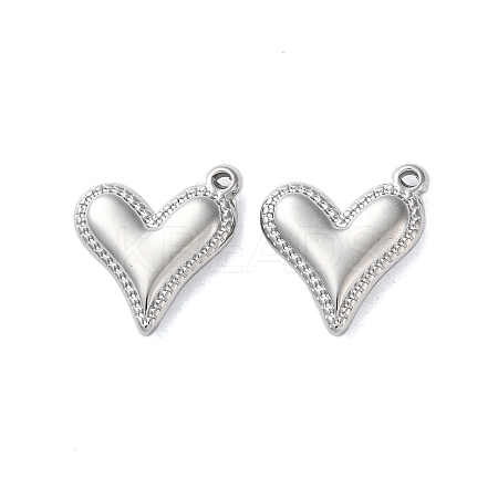 Non-Tarnish 304 Stainless Steel Pendants STAS-G338-14P-1