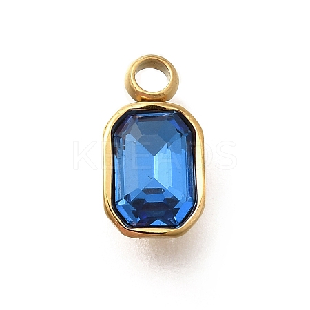 304 Stainless Steel Pendants STAS-Q346-03G-02-1