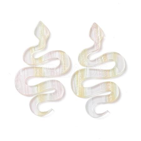 Acrylic Big Pendants KY-I008-07D-1