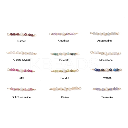 12Pcs 12 Styles Faceted Round Natural Mixed Stone Beaded Connector Charms PALLOY-JF03557-1