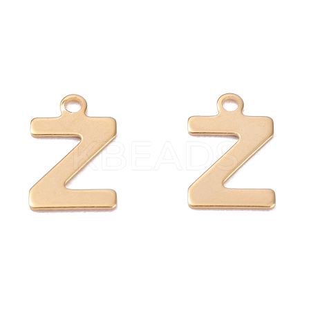 201 Stainless Steel Charms LS-STAS-C021-06G-Z-1