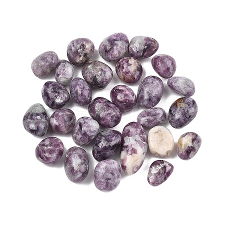 Natural Lepidolite Beads G-G348-01A-18-1