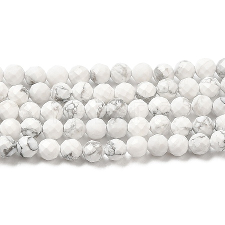 Natural Howlite Beads Strands G-E608-A01-C-1