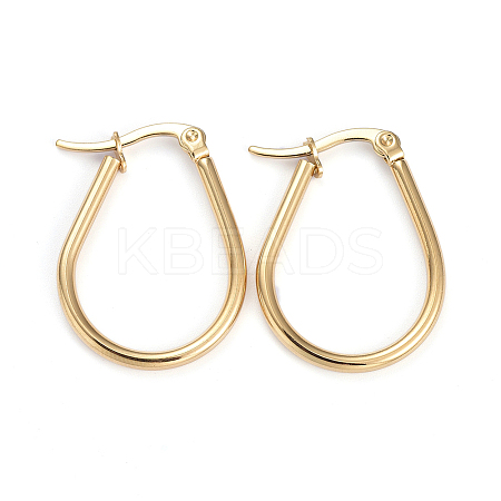 201 Stainless Steel Hoop Earrings LS-EJEW-I245-21F-1