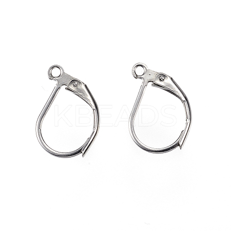 Tarnish Resistant 304 Stainless Steel Leverback Earring Findings LS-STAS-E147-20P-1