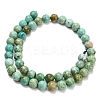 Natural Peruvian Turquoise(Jasper) Beads Strands G-L642-B08-8mm-3