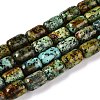 Natural African Turquoise(Jasper) Beads Strands G-G980-33B-1